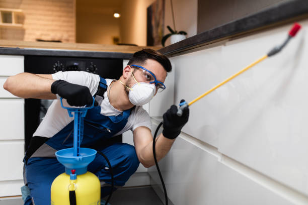 Best Affordable Pest Control Services  in Hortonville, WI