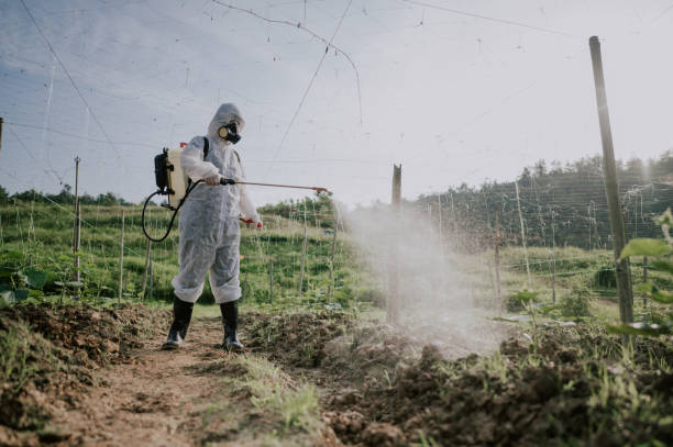 Best Local Pest Control Services  in Hortonville, WI