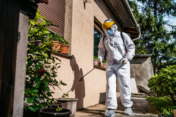 Best Pest Control Near Me  in Hortonville, WI