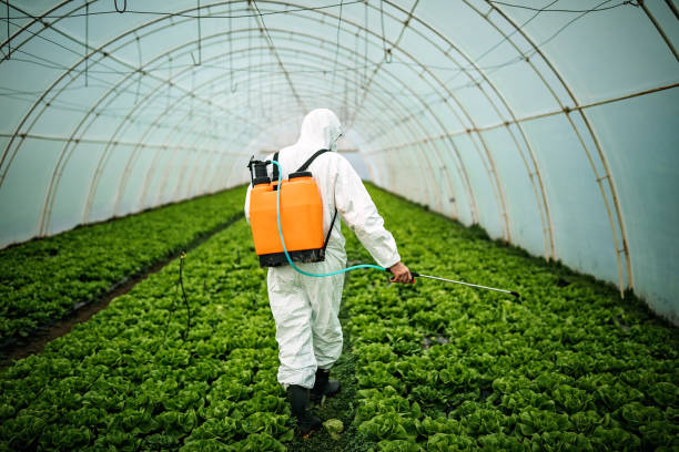 Best Affordable Pest Control Services  in Hortonville, WI
