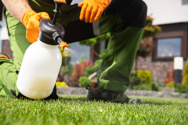 Best Bird Control  in Hortonville, WI