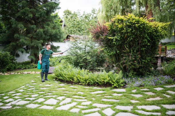 Best Best Pest Control Companies  in Hortonville, WI
