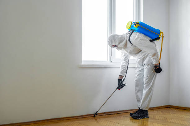 Best Pest Removal Services  in Hortonville, WI