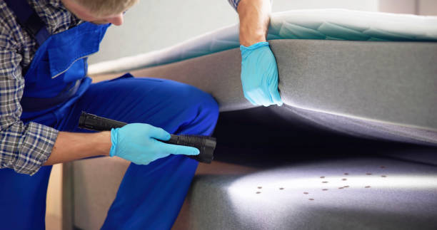 Best Cockroach Control Services  in Hortonville, WI