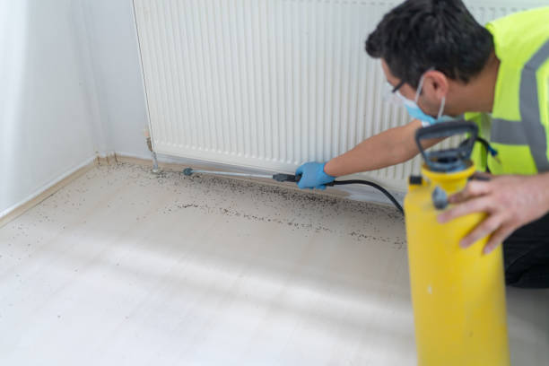 Best Emergency Pest Control  in Hortonville, WI