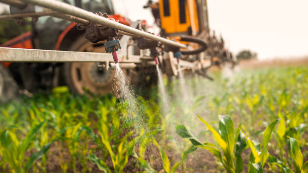 Best Pest Prevention Services  in Hortonville, WI